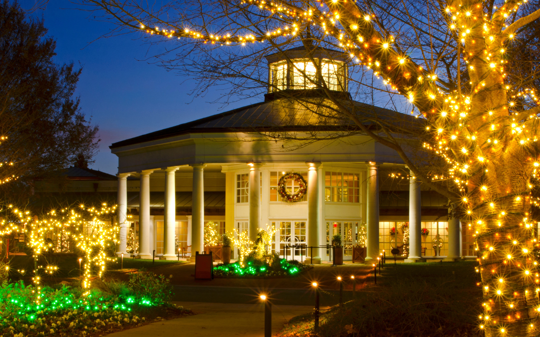 Brighten Your Holidays with Covington’s Premier Lighting Services at Lights Up Cincy