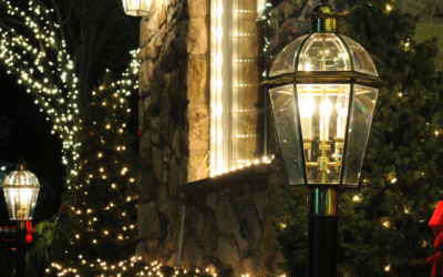 4 Stunning Tree Lighting Ideas to Transform Your Landscape