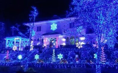 What Color Christmas Lights Are Most Popular?